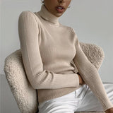 Solid Color Pit Strip Knit Pullover Turtleneck Sweater vafini