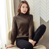 Turtle Neck Winter Sweater Women Elegant Thick Warm Female Knitted Pullover Loose Basic Knitwear vafini